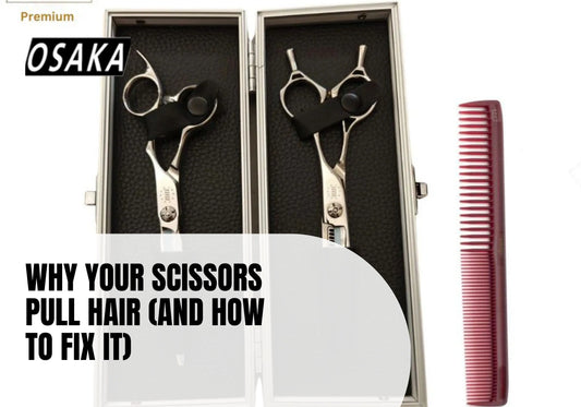 Osaka Premium Japanese Scissors CLZ Cobalt Set (with Level-Set Thinners)